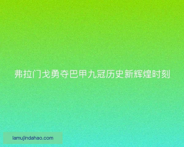 弗拉门戈勇夺巴甲九冠历史新辉煌时刻 弗拉门戈勇夺巴甲九冠历史新辉煌时刻