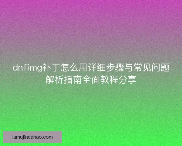 dnfimg补丁怎么用详细步骤与常见问题解析指南全面教程分享
